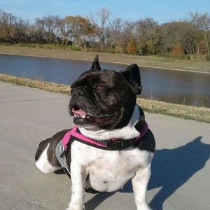 Meet your Posher, Brent